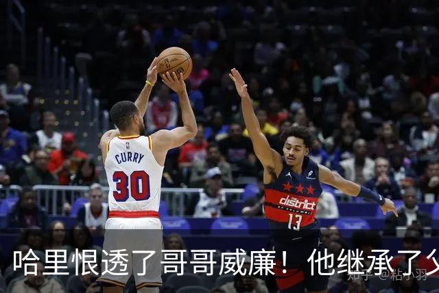 哈里恨透了哥哥威廉！他继承了父亲的王位不说，还继承了母亲的脸