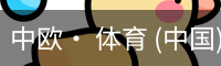 中欧· 体育 (中国)官方网站 - ZO SPORTS